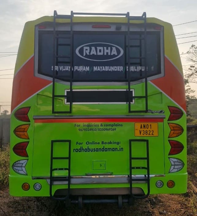 Rear View